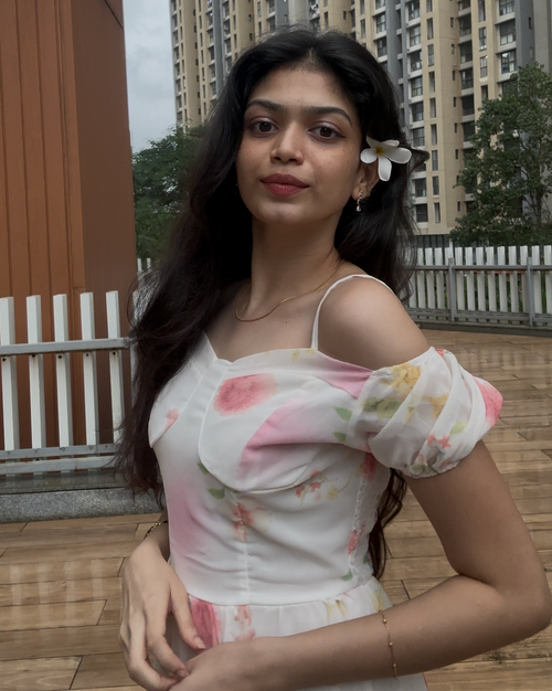 Purva Chiffon Dress
